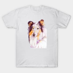 Collie - blue merle T-Shirt